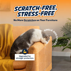 Panther Armor clear adhesive sheets on sofa protect fabric without altering look.