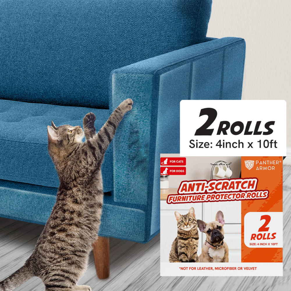 Panther Armor scratch-tape clear roll protects furniture from cat claws