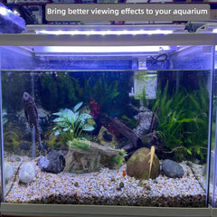 Paoleju aquarium cave depth illusion enhances perceived tank depth
