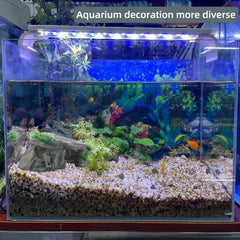 Paoleju aquarium cave viewing enhancements improve observation of tank inhabitants