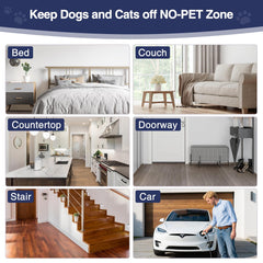 PAPARELA Scat Mat mode selector displays Tone and Static options.
