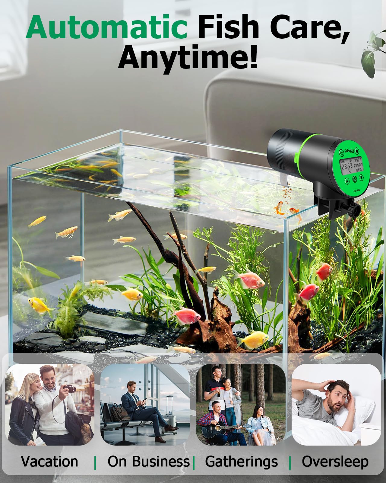 Papettly vacation-feeder-use supports unattended feeding during trips