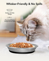 PapiCola whisker-friendly 59-degree design image for comfortable dining