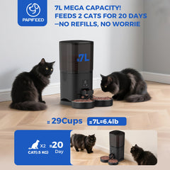 PAPIFEED Alexa integration allows voice-assisted feeding reminders for cats.