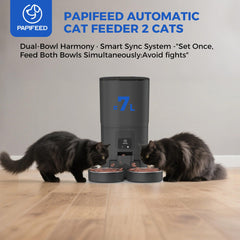 PAPIFEED app control display illustrating remote scheduling and monitoring