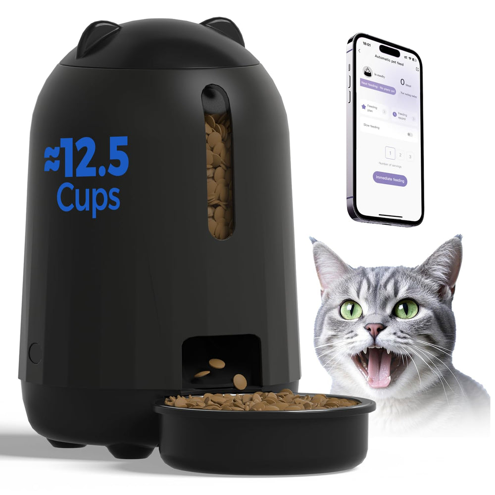 PAPIFEED automatic cat feeder front view for reliable meal timing.