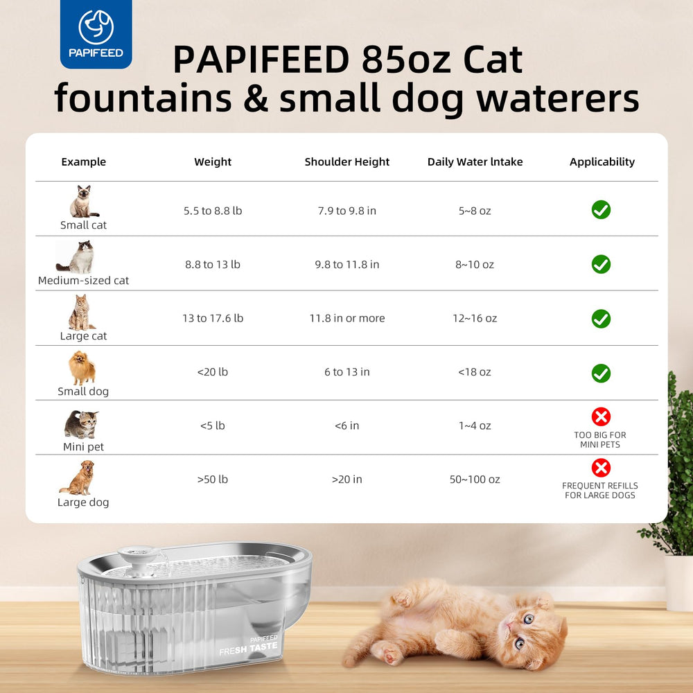 PAPIFEED quiet operation keeps home peaceful while pets drink.