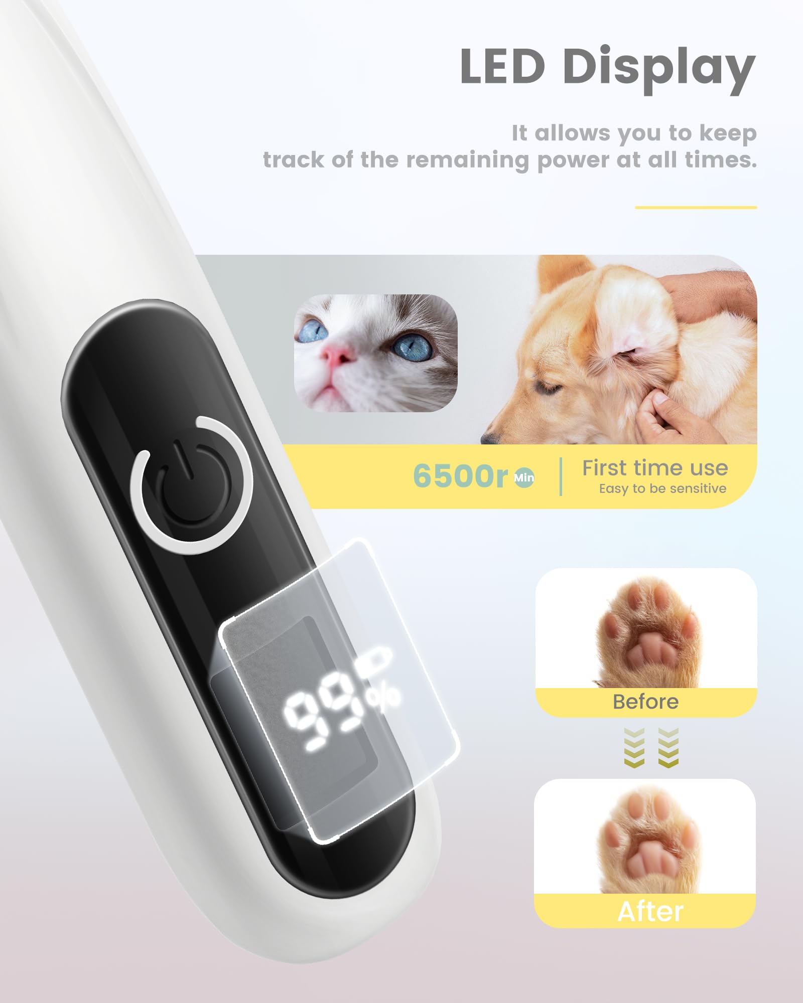 PAPMINI 20mm blade delivers efficient small-area trimming around paws and eyes.