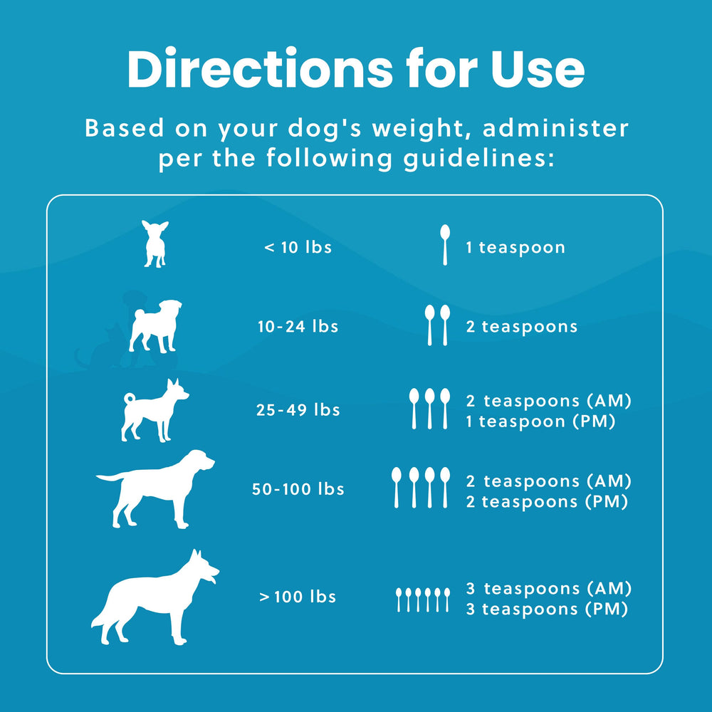 Paramount Pet Health glucosamine mixed into dog food scene showcases easy integration.