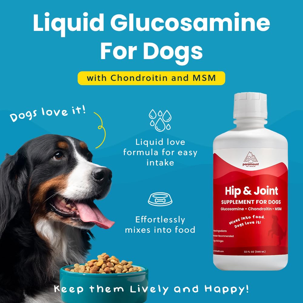 Paramount Pet Health dog on a walk illustrating mobility support possibilities.