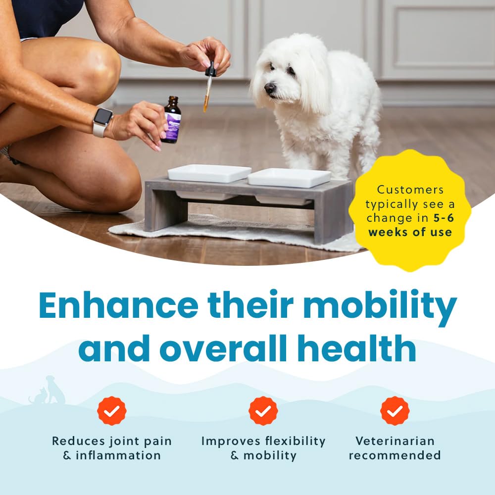 Paramount Pet Health formula includes MSM and chondroitin for joints.