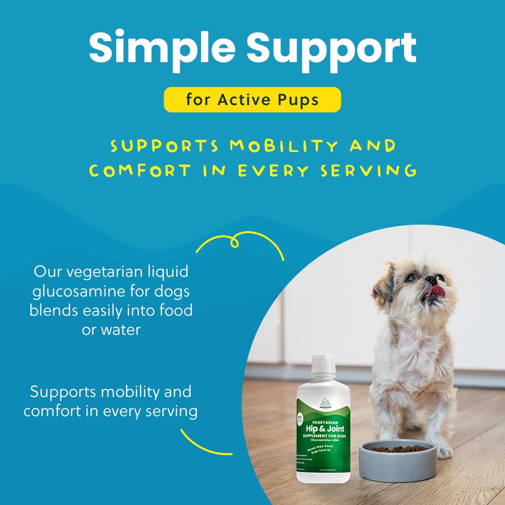 Paramount Pet Health glucosamine in a bowl—mealtime joint support for dogs.