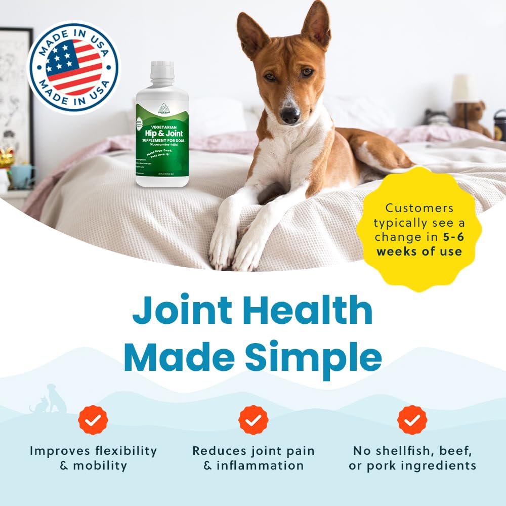 Paramount Pet Health USA-made bottle signaling premium dog joint supplement.