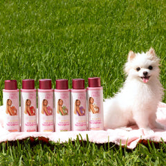 Paris Hilton Dog Shampoo aloe leaf highlight for hydrated coats