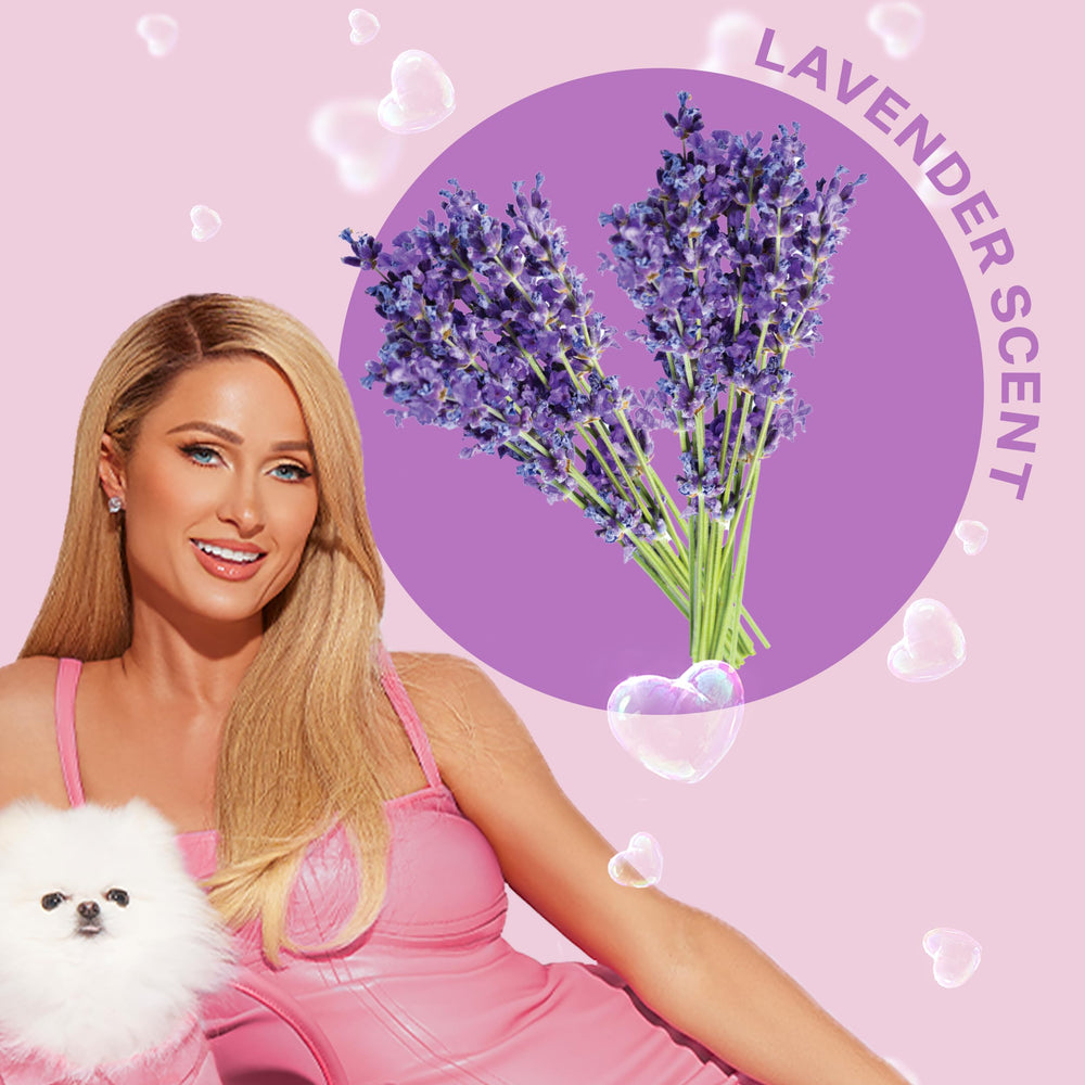 Paris Hilton Dog Shampoo lavender scent closeup emphasizes calming aroma