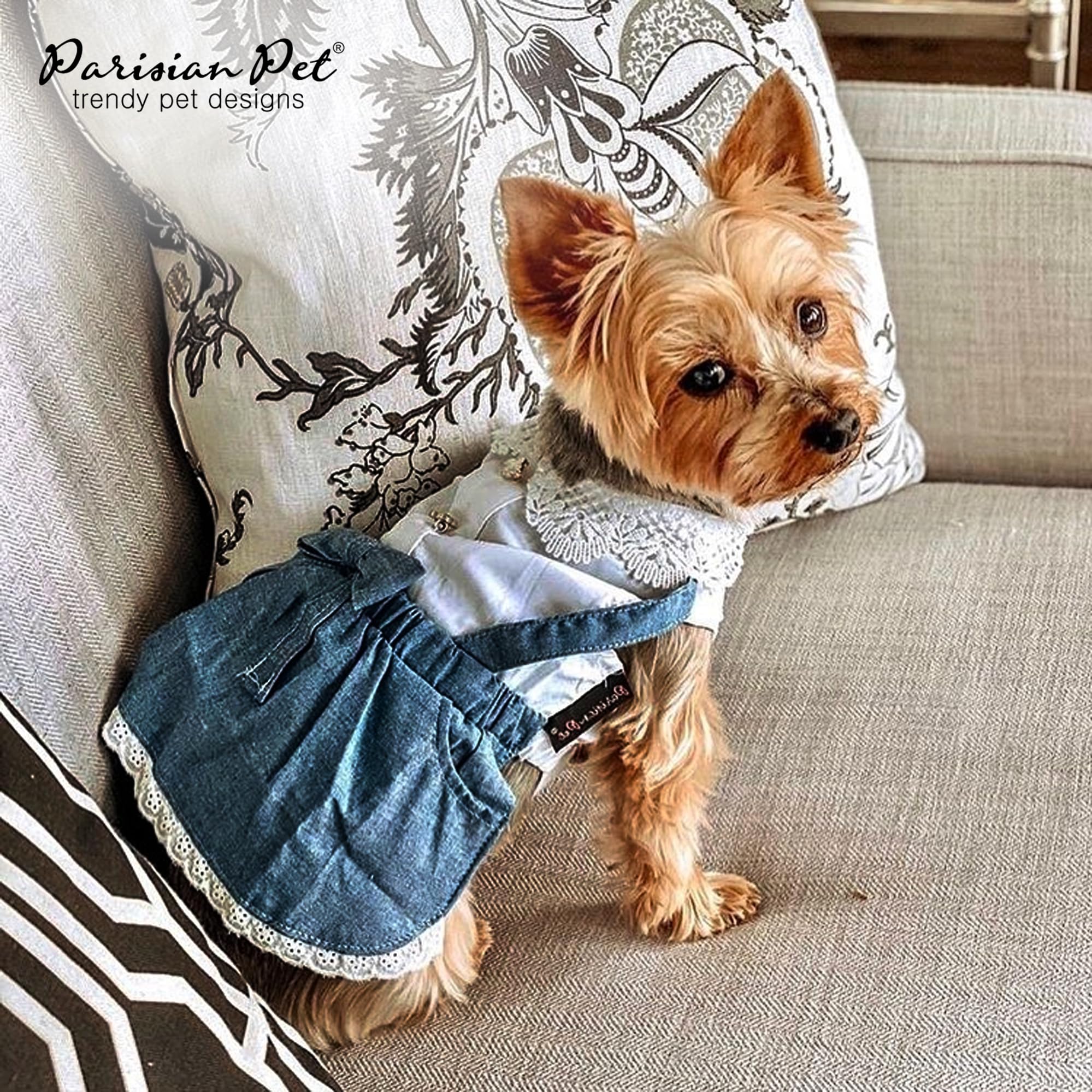 Parisian Pet Chambray Overall cat wearing, versatile for everyday adventures.