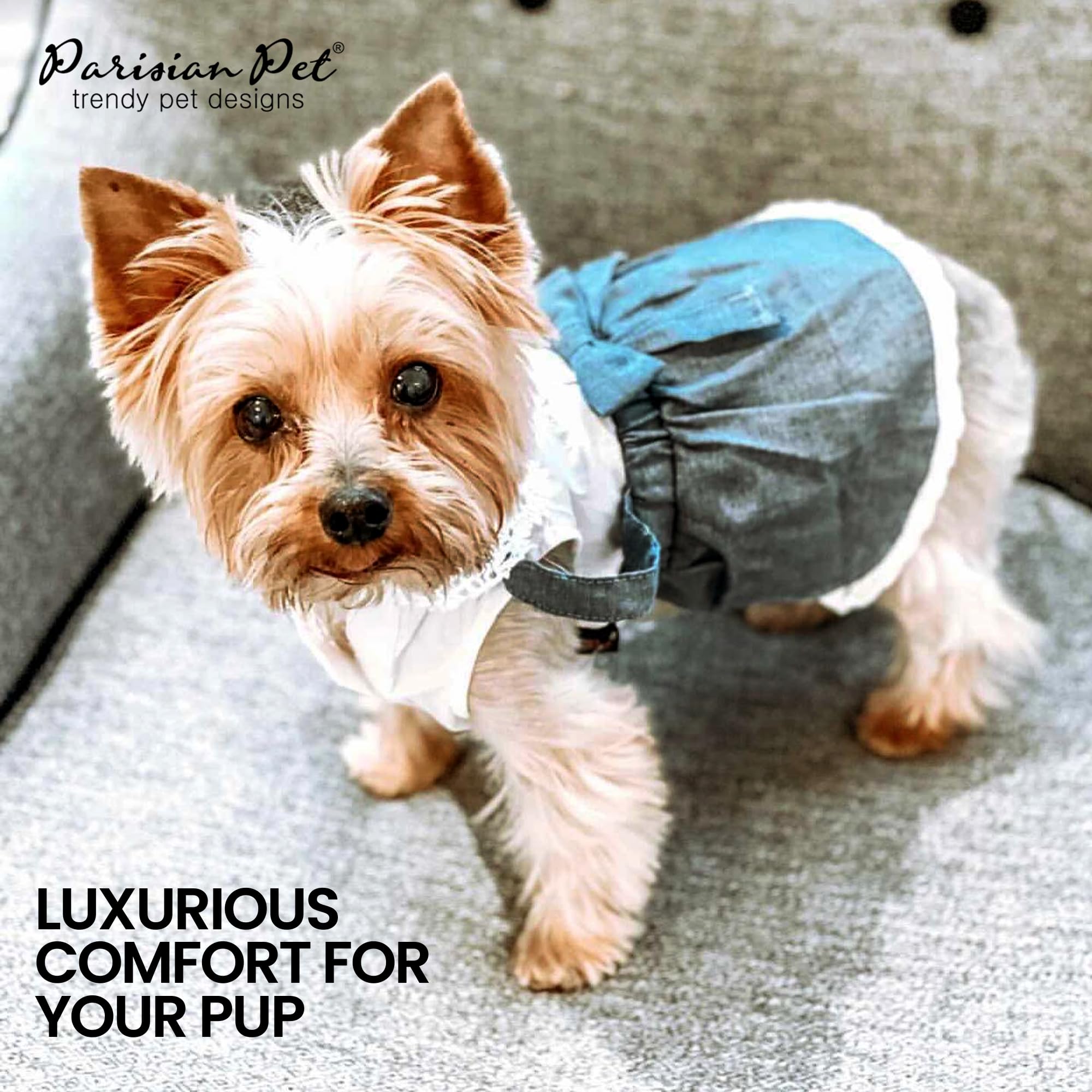 Parisian Pet Chambray Overall on dog during a stroll, comfortable all-day wear.