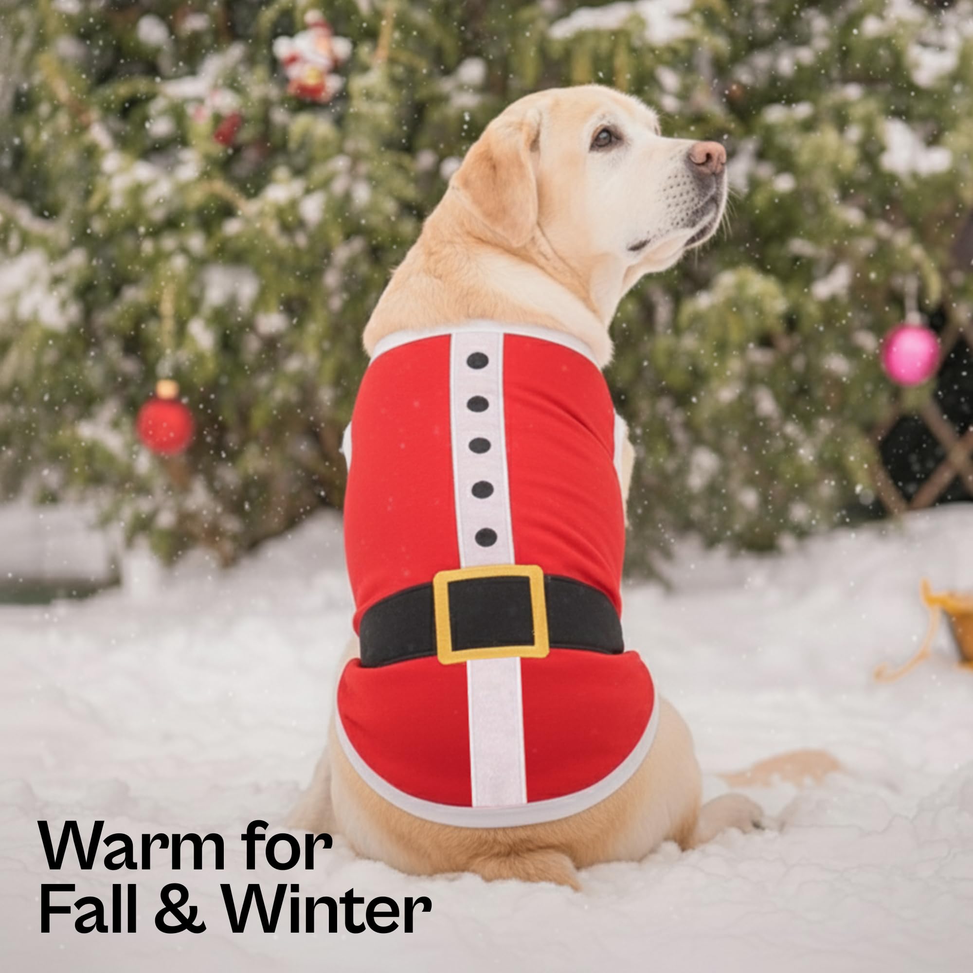 Parisian Pet dog Christmas party outfit for walks and celebrations.