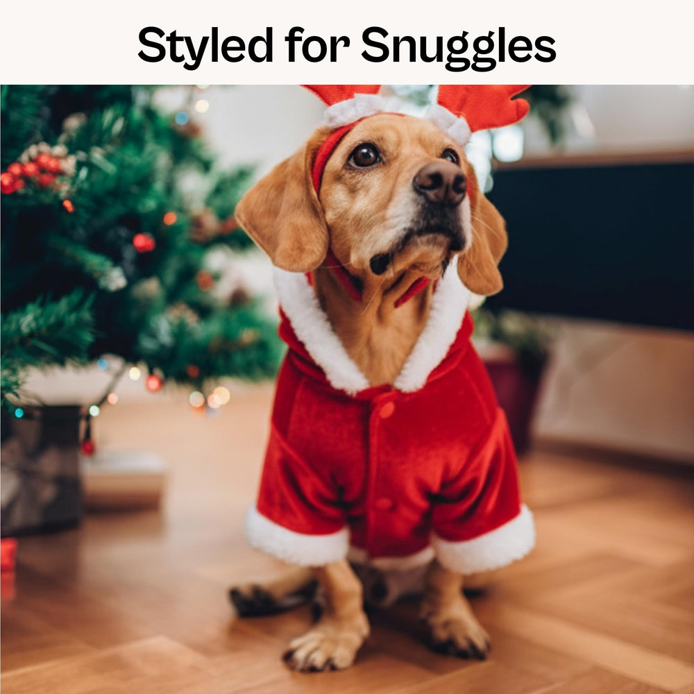Parisian Pet Santa hoodie hat detail showcases plush hat and cozy trim