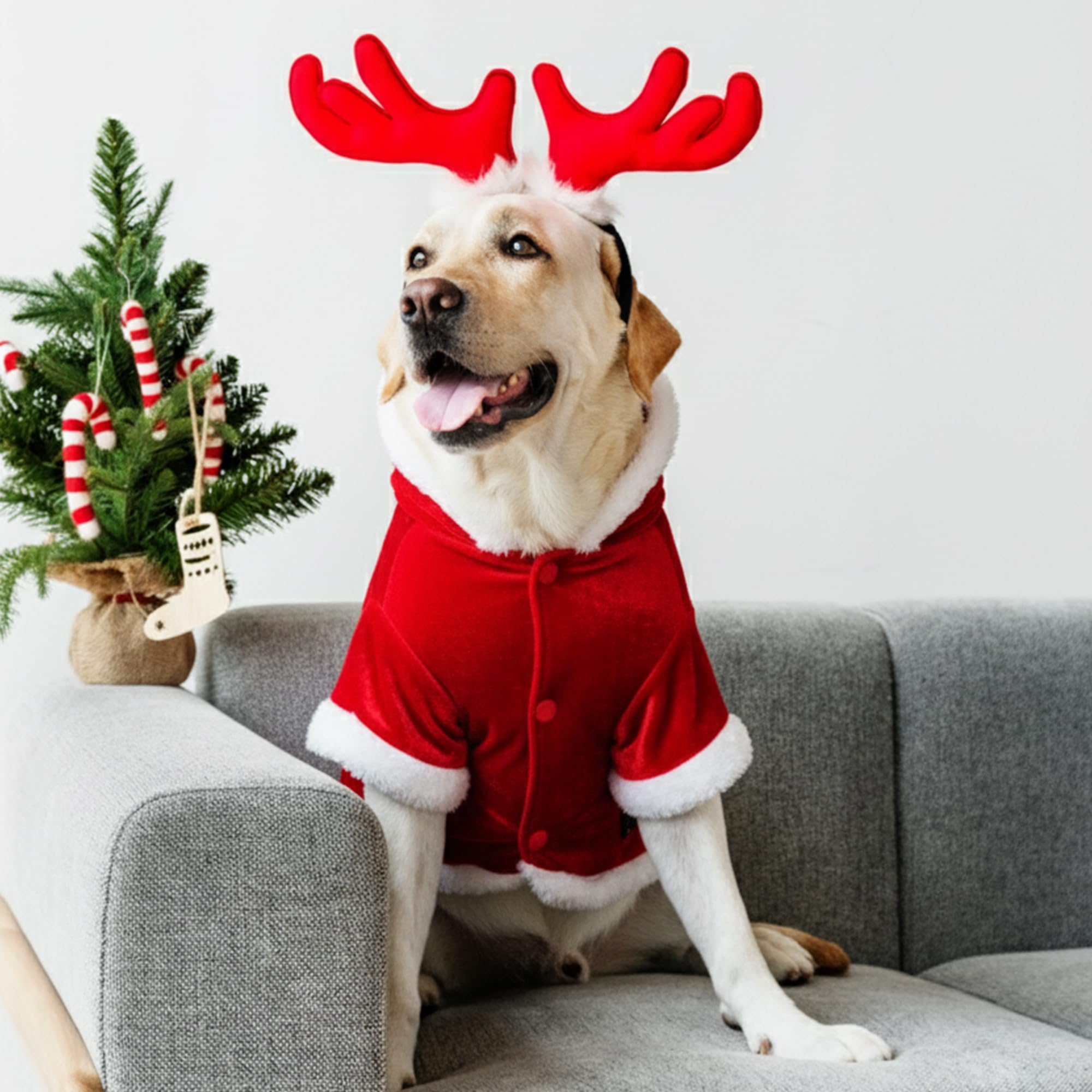 Parisian Pet Santa hoodie inside view shows warm quilted lining