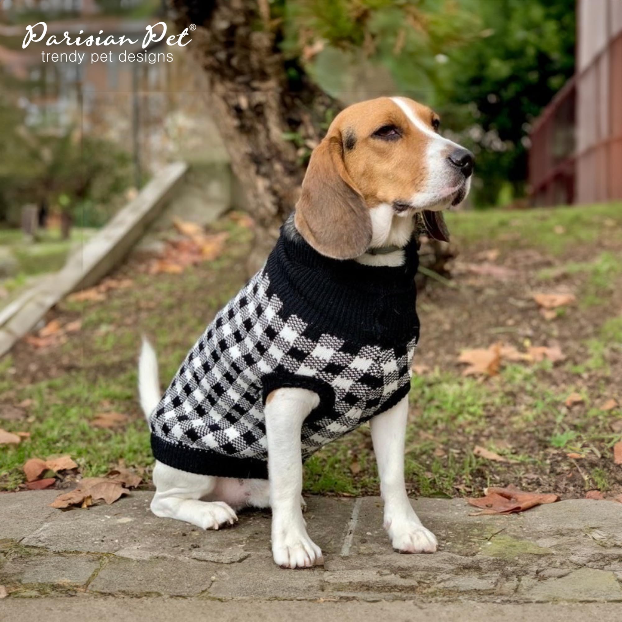Parisian Pet large dog XL example in festive plaid pattern