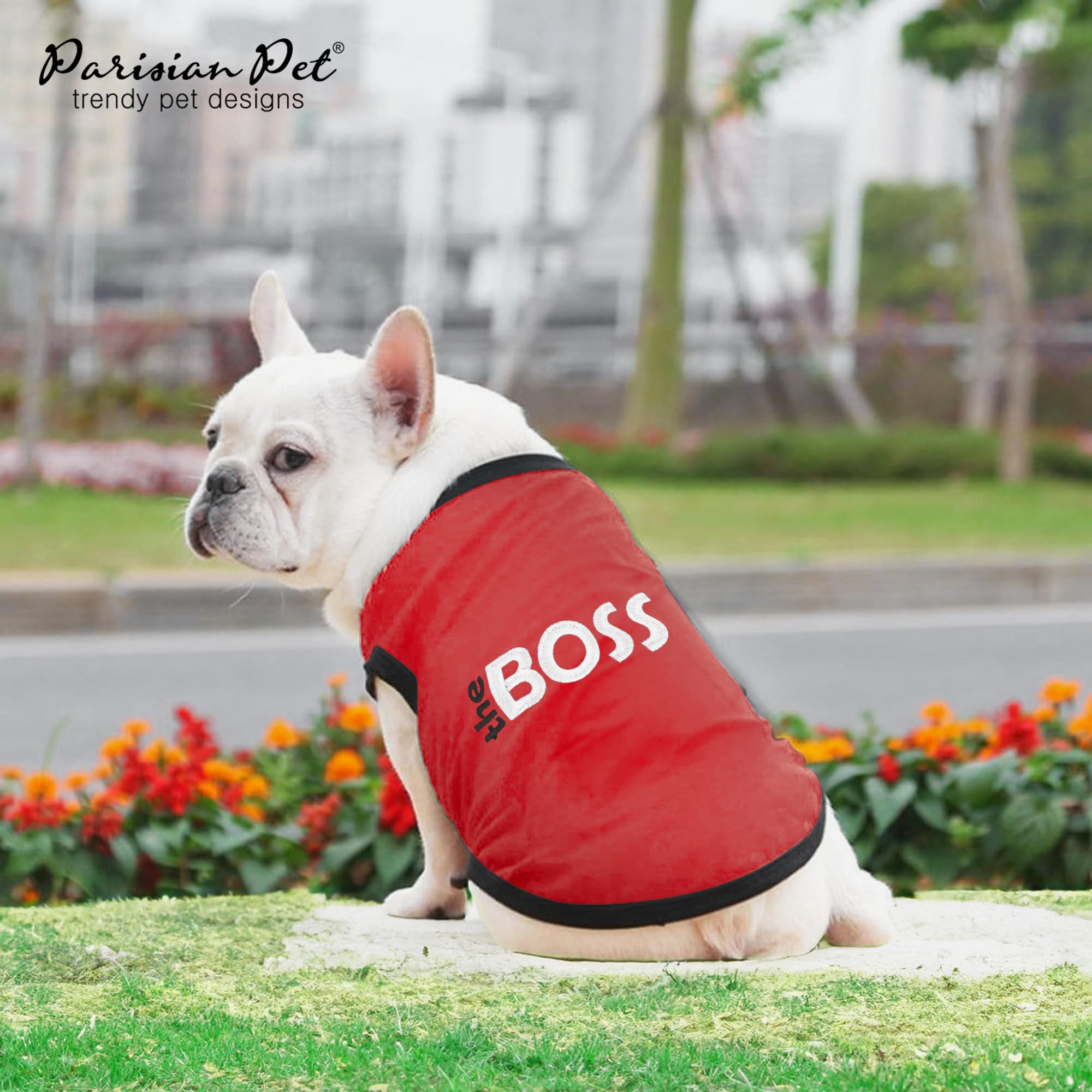 Parisian Pet dog t-shirt washable fabric for easy care after adventures