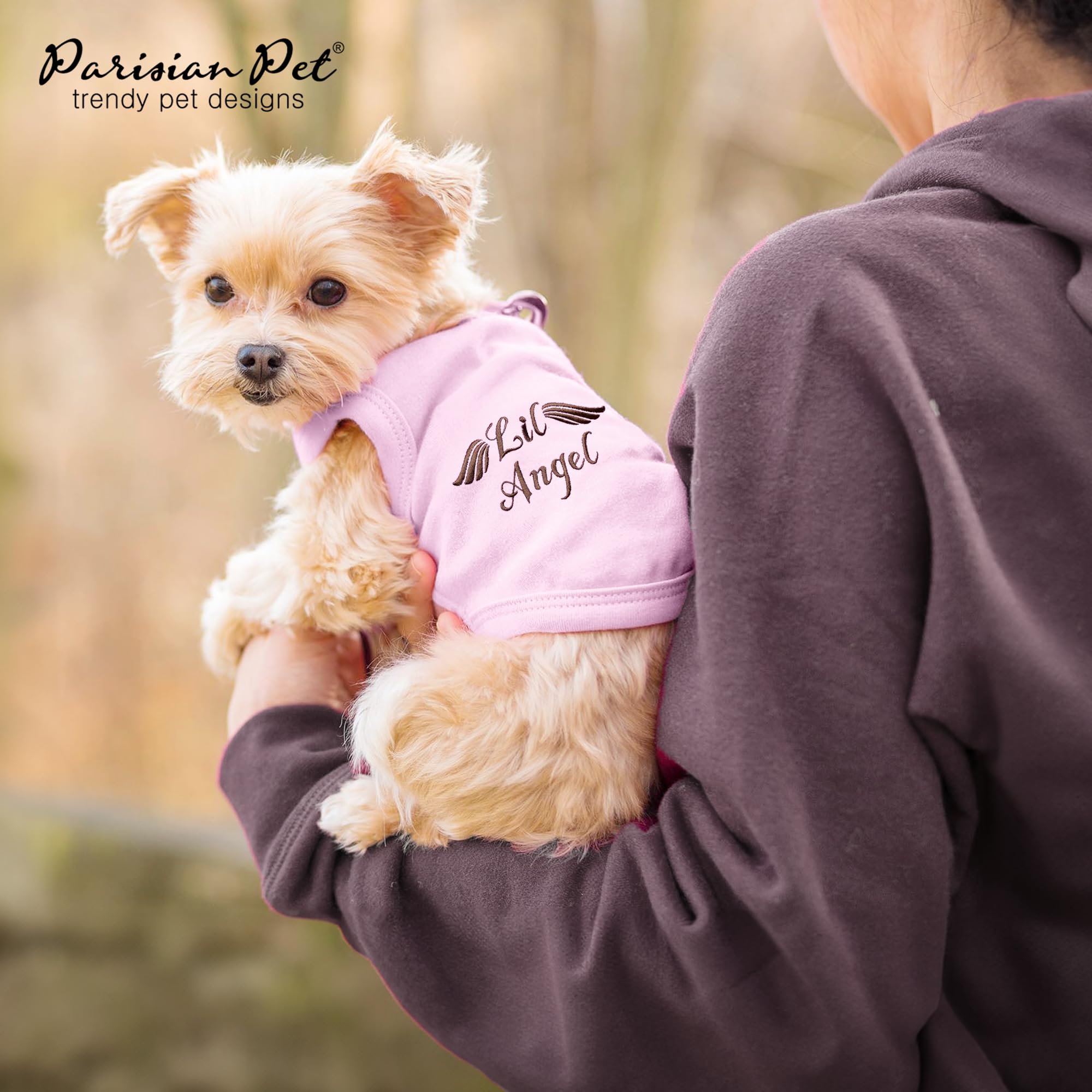 Parisian Pet dog shirt on a walk for adventure-ready style.