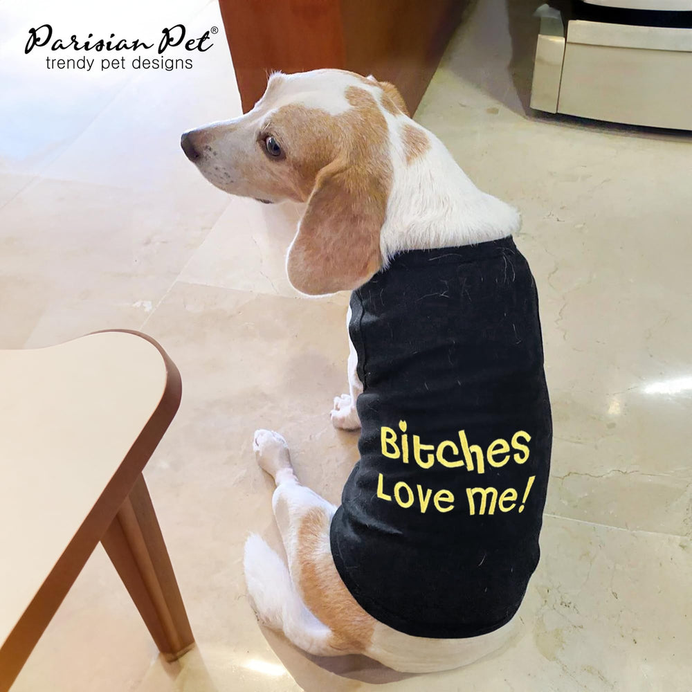 Parisian Pet gift-ready dog shirt suitable for birthdays or holidays
