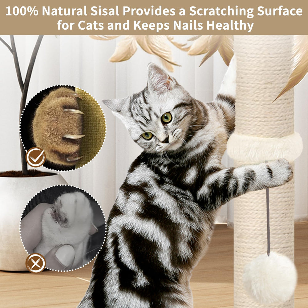 PAROTO cat post wrapped in sisal provides natural claw-scratching surface