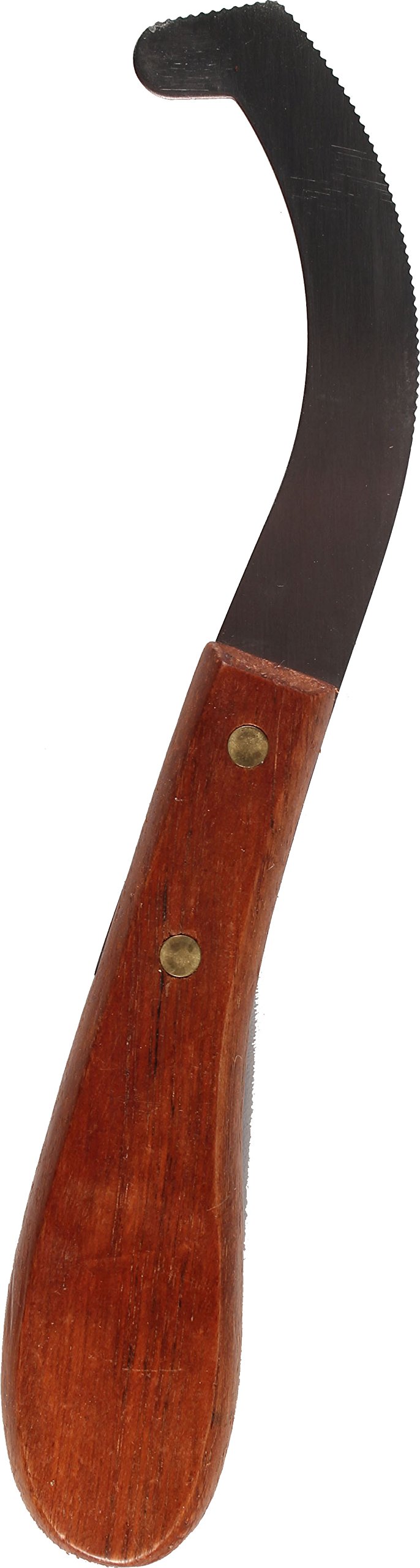 Partrade bot egg scraper 9-inch blade for precise bot egg removal on horses