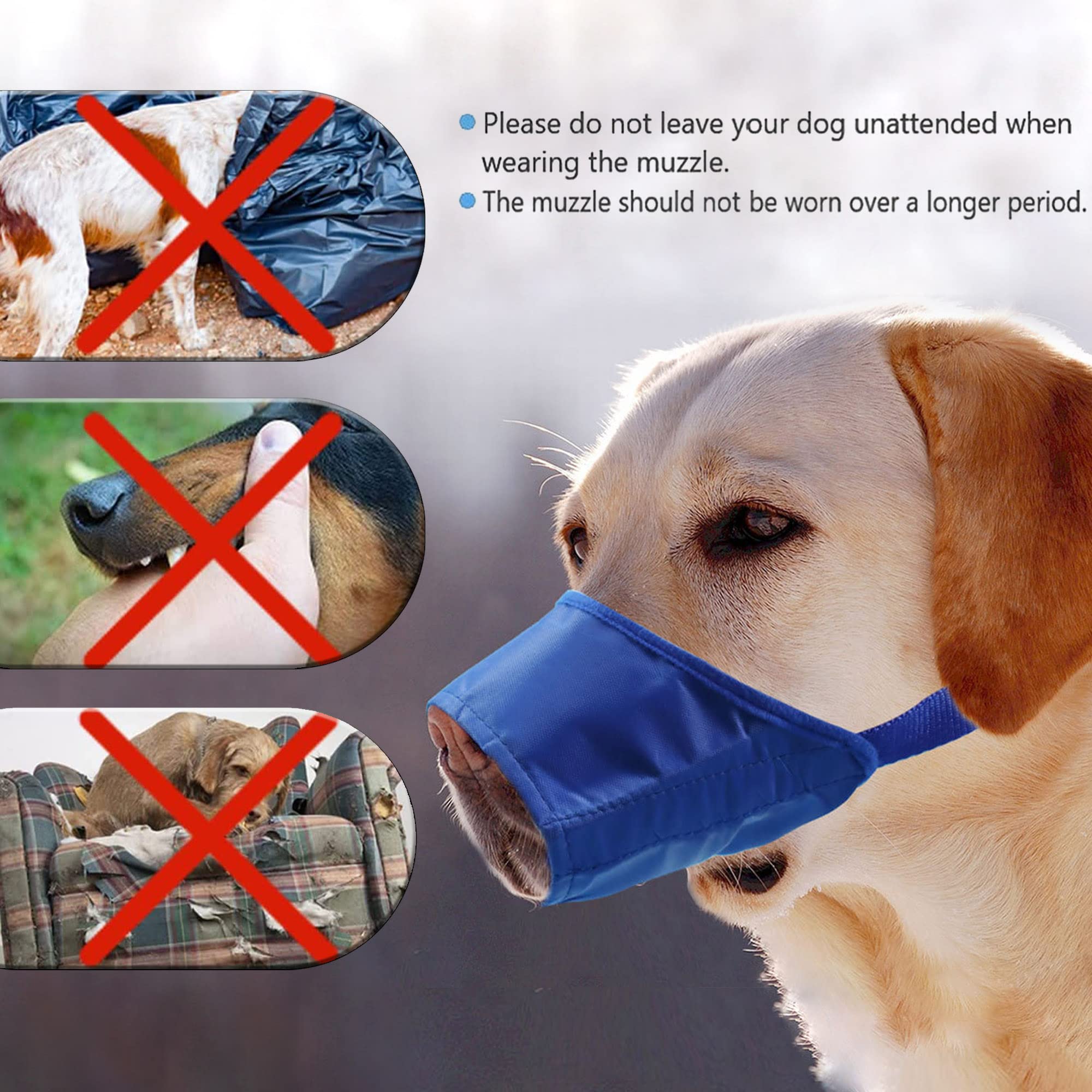 Parts Express dog muzzle blue soft padding interior reduces irritation for longer sessions.