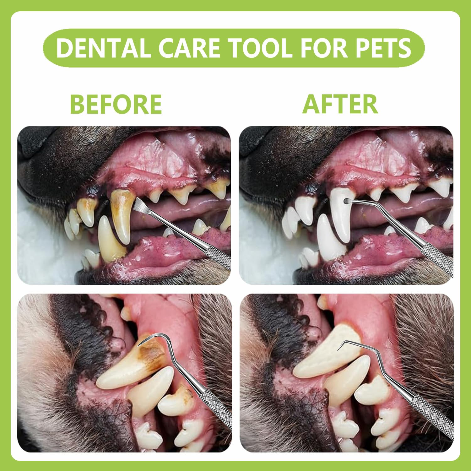 PARYUNGR tartar scraper removes tartar for fresher-pet breath