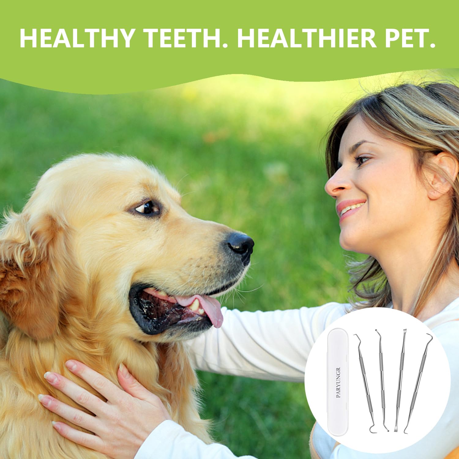 PARYUNGR tools in use by owner during pet dental routine