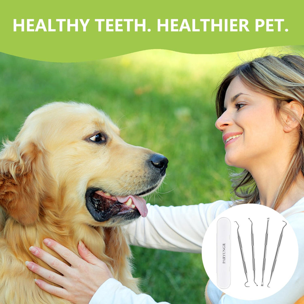 PARYUNGR tools in use by owner during pet dental routine