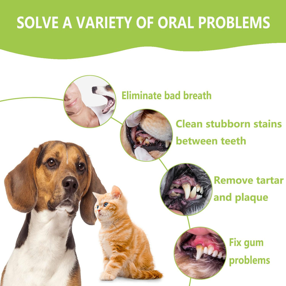 PARYUNGR round plaque remover demonstrates effective plaque removal in pets