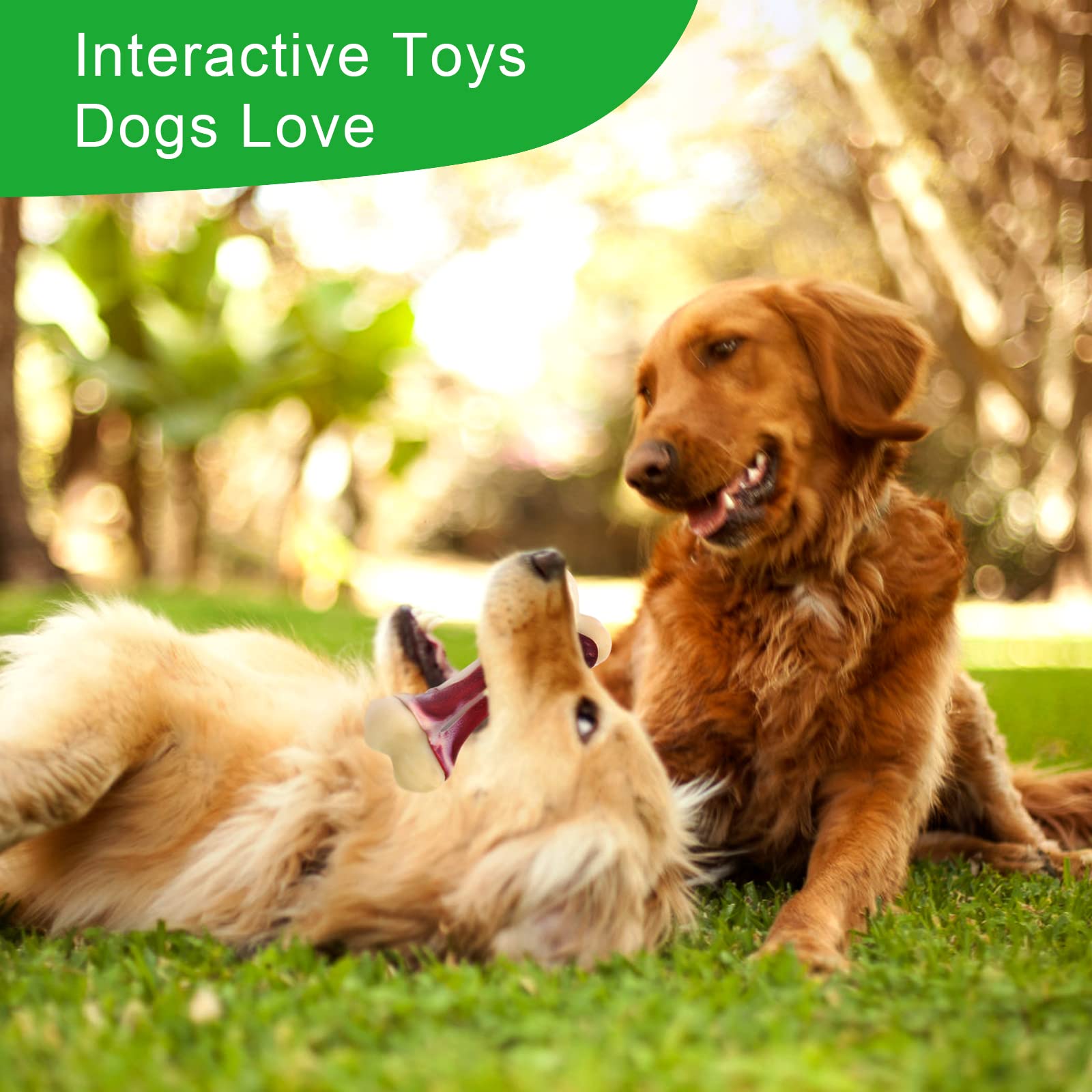 Close-up of real beef aroma on Pasking chew toy, enticing flavor for dogs.