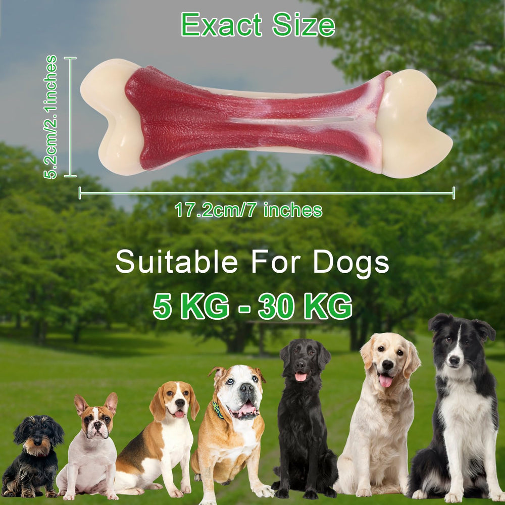 Gift-ready Pasking beef-flavored dog chew toy, suitable for birthdays.