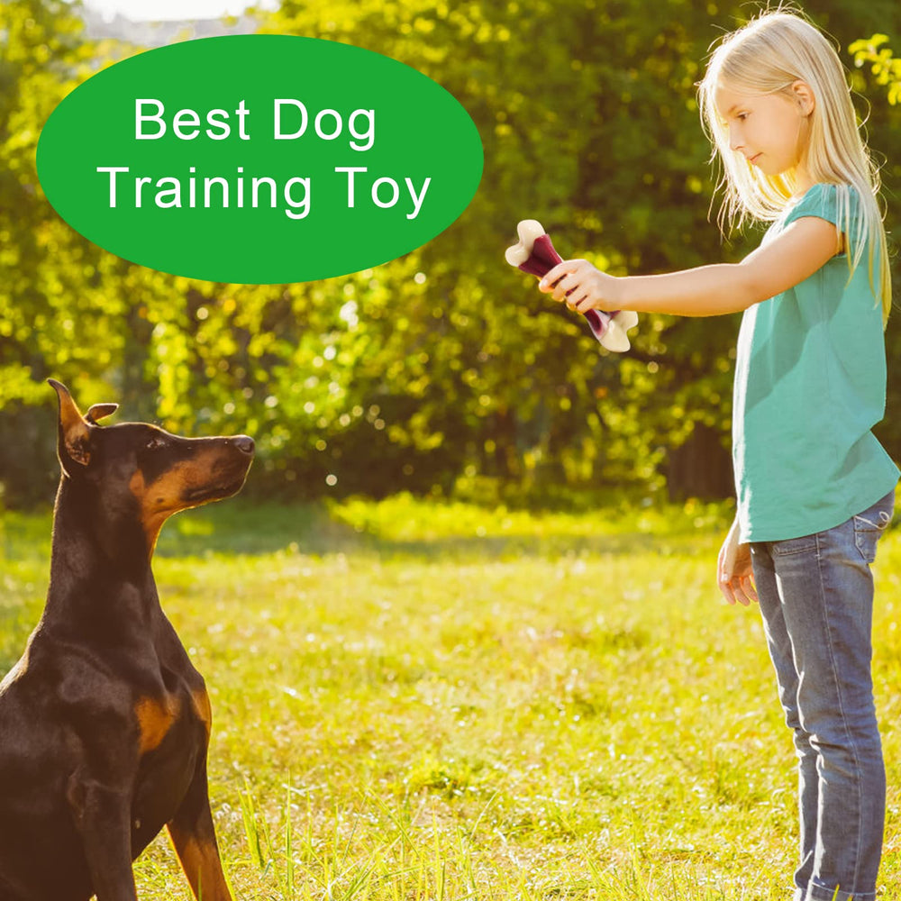 Indoor/outdoor scene with Pasking chew toy, ideal for enrichment.