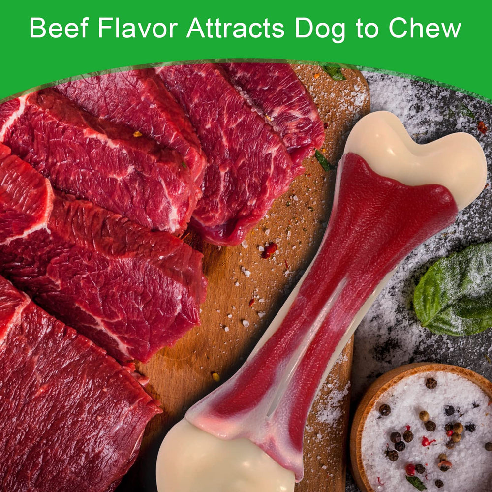 Labrador-sized tester with Pasking chew toy, proving toughness for power chewers.