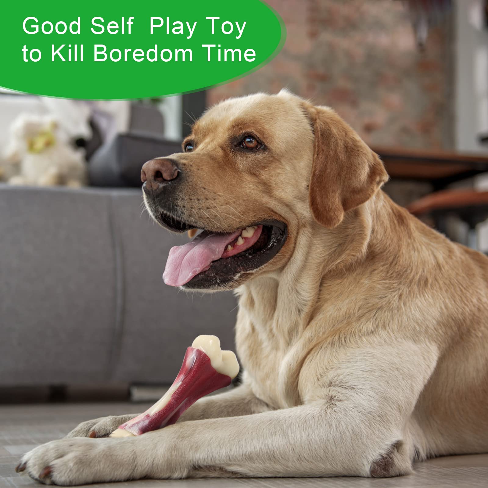Close-up of dog teething with Pasking bone toy, gums massage.
