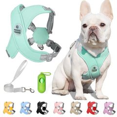 Patas Lague dog harness green adjustable for comfortable daily walks