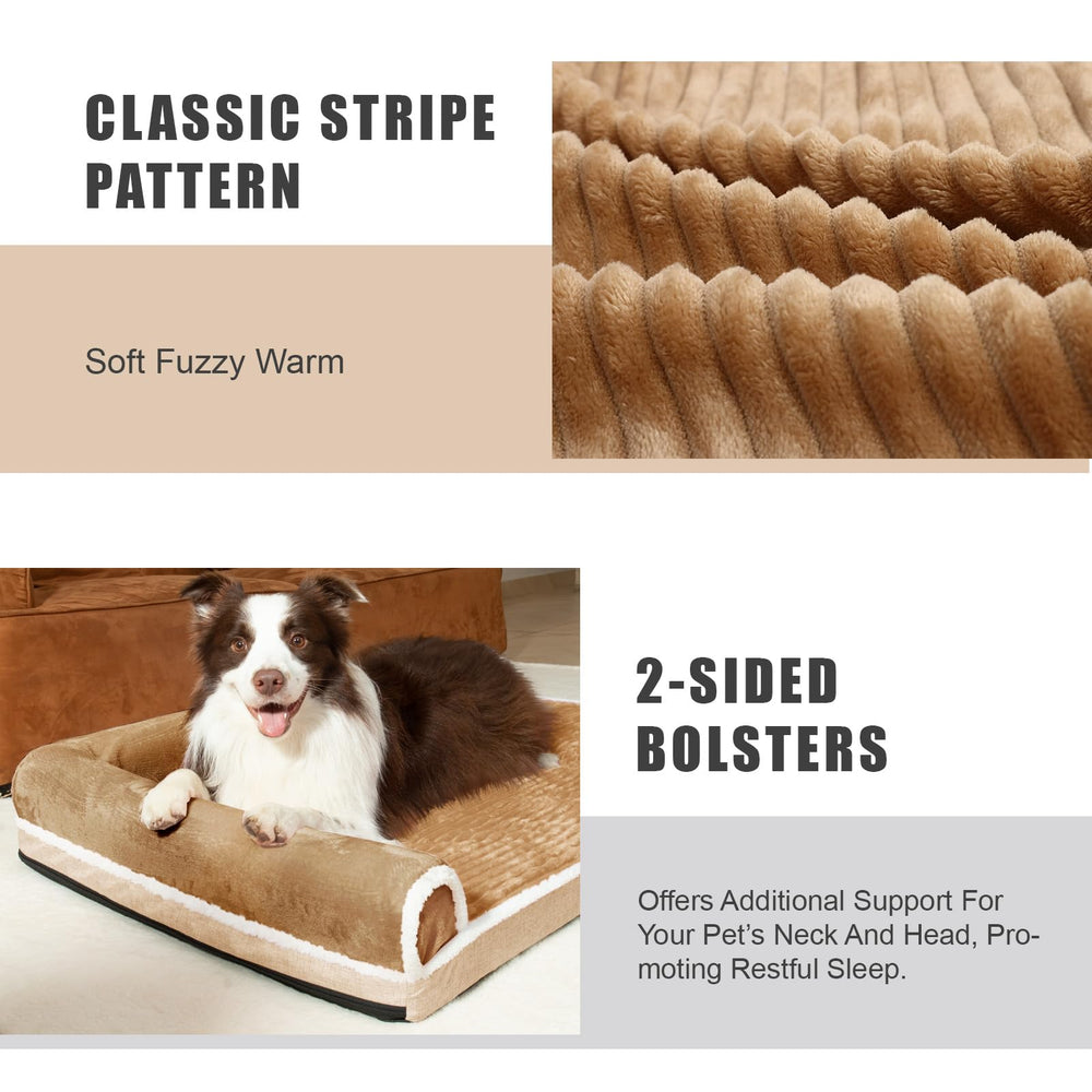 Patas Lague five color five sizes options image illustrating customizable choices