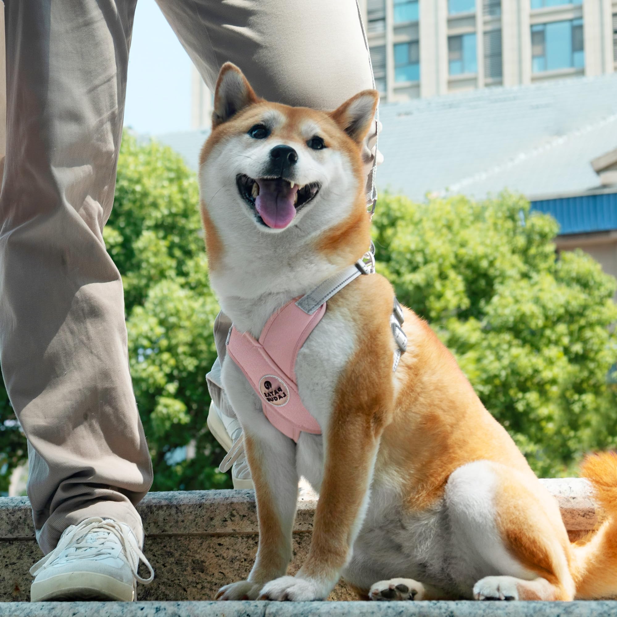Patas Lague leash-harness combo shows 5 ft leash and 360° swivel to prevent tangles.