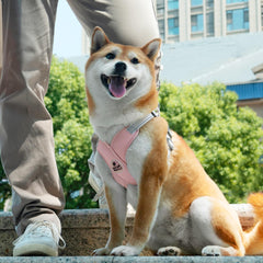 Patas Lague leash-harness combo shows 5 ft leash and 360° swivel to prevent tangles.