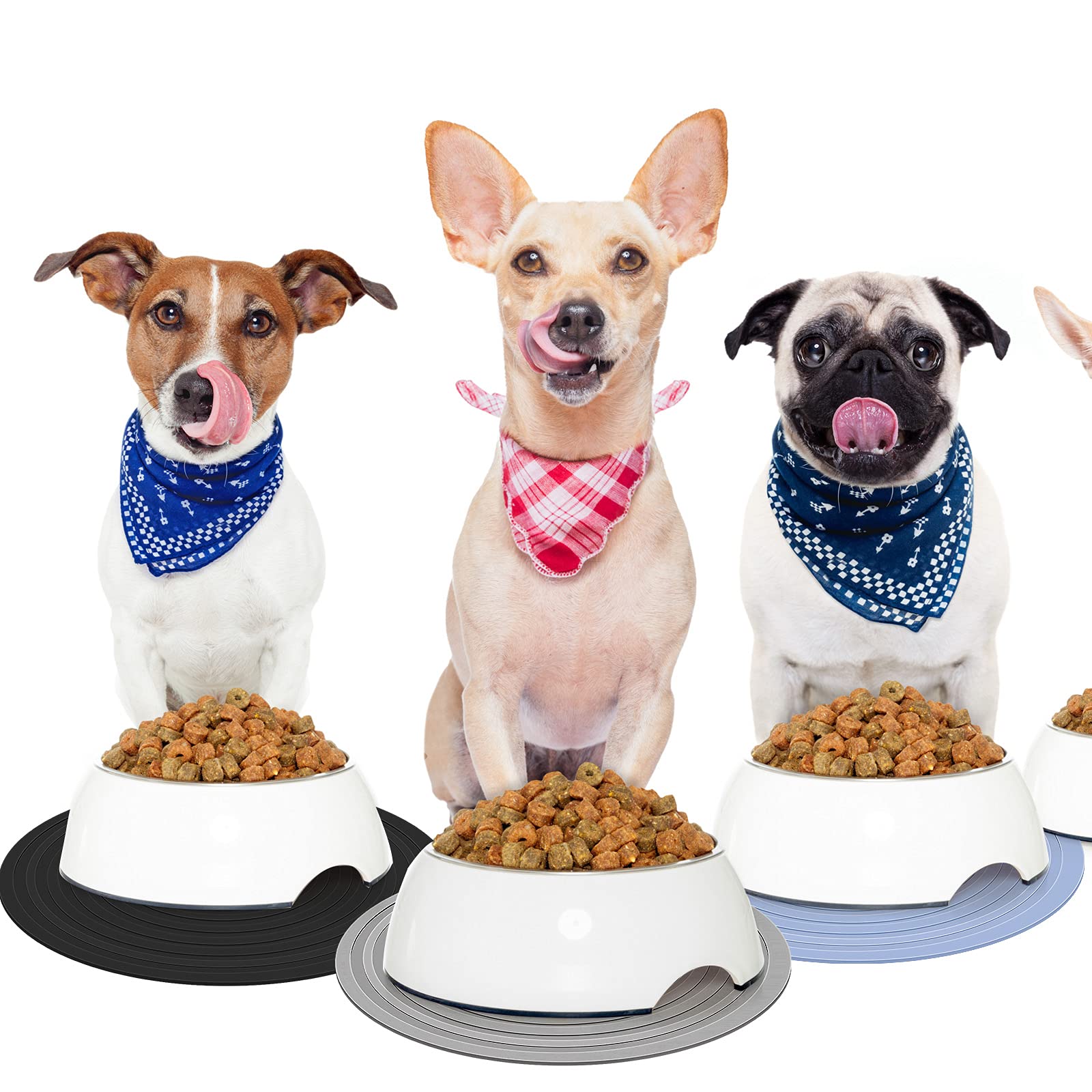 Patelai dishwasher-safe pet mat simplifies post-meal cleanup