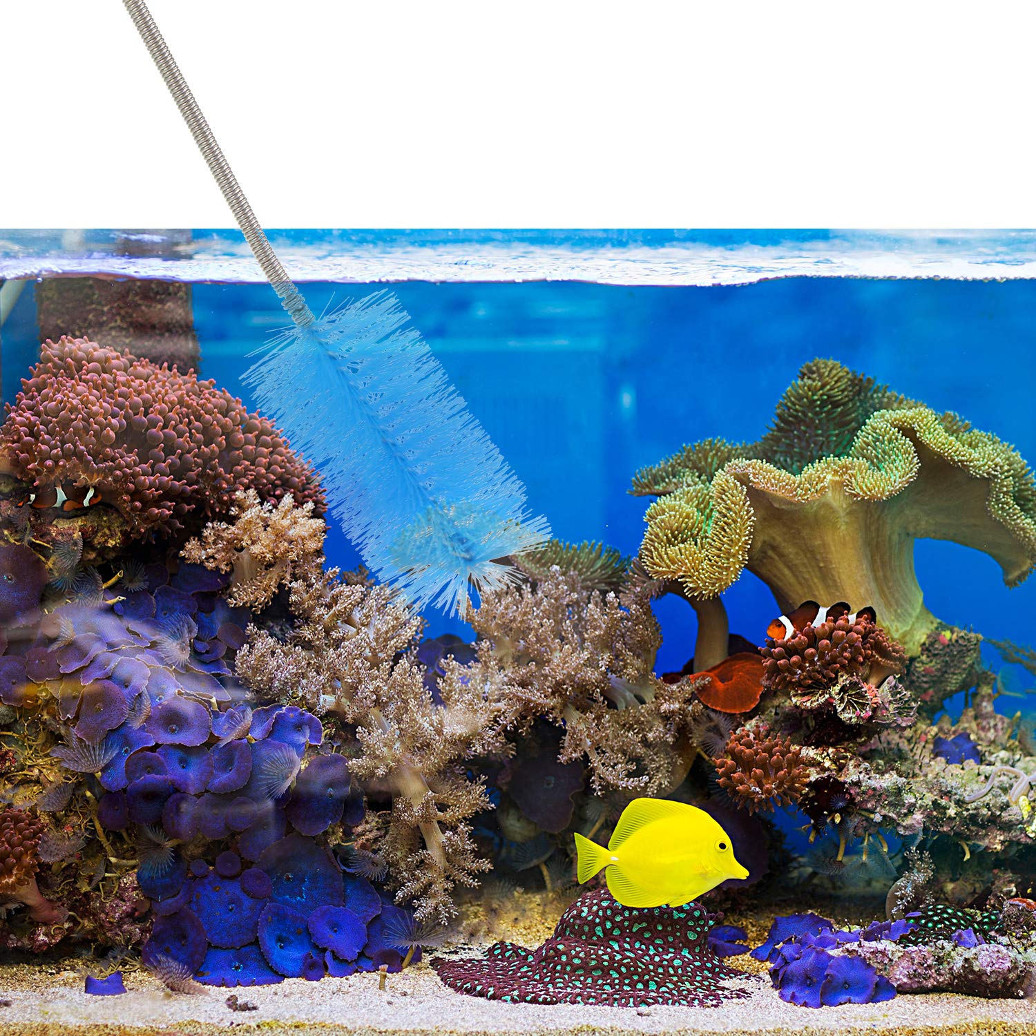 Patelai fish tank daily-cleaning set makes routine maintenance quicker and easier