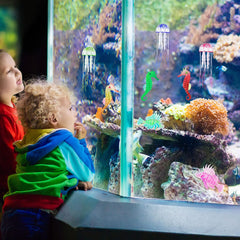 Patelai glow jellyfish blue adds cool contrast for aquarium