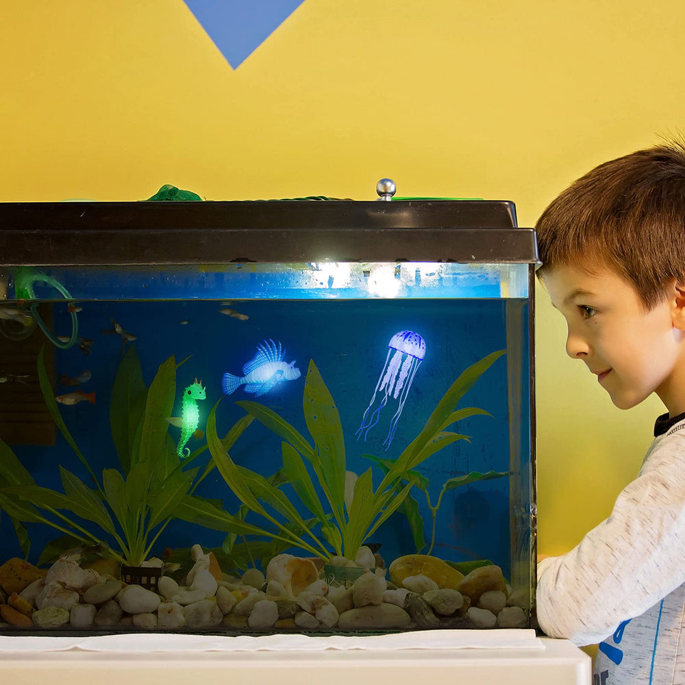 Patelai glow lionfish blue shines in dark tanks for a striking focal point