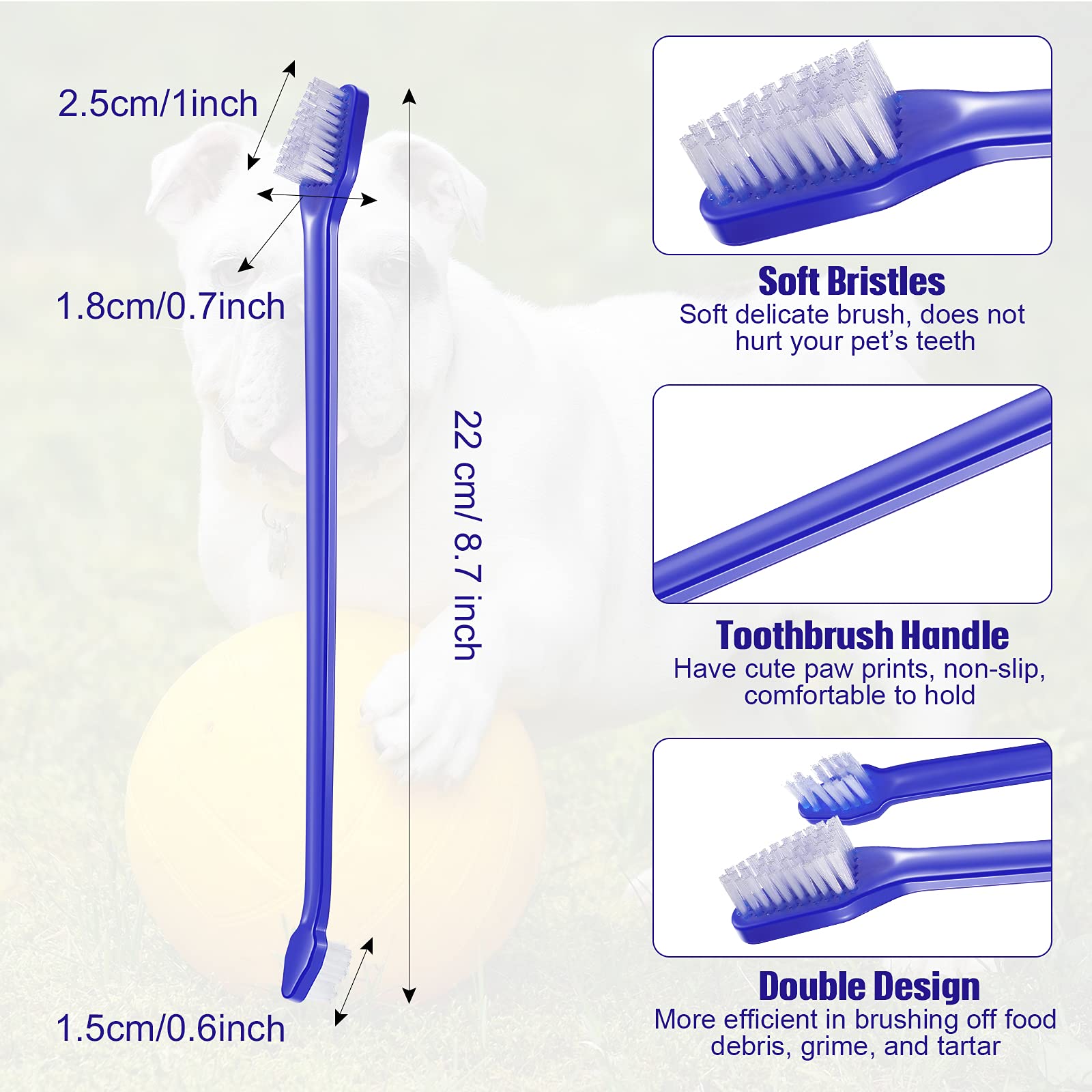 Patelai 100-pack pet toothbrush kit for sharing and gifting
