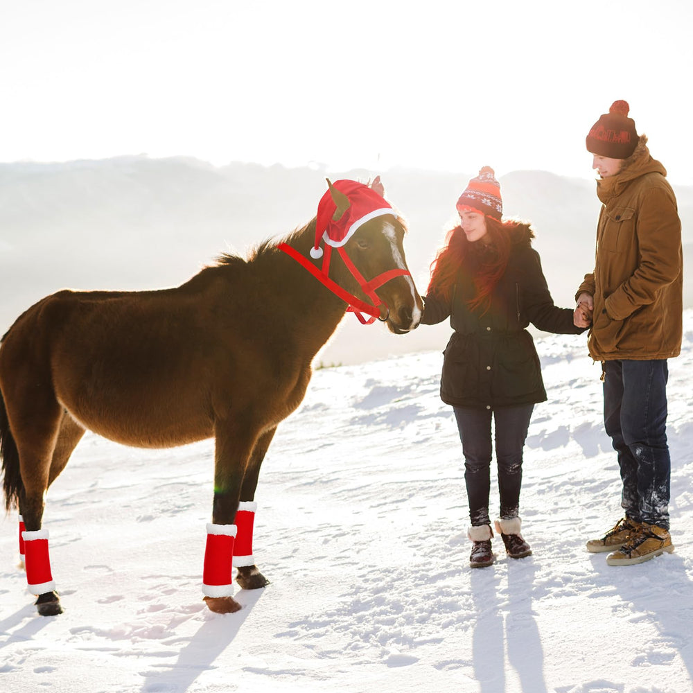 Paterr Christmas parade-ready accessories help horses stand out with style